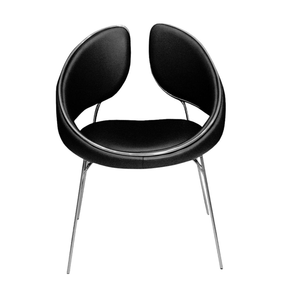 Curve Sofa
